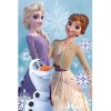 Exity Detská deka Ľadové kráľovstvo Anna, Elsa a Olaf