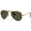Ray- Ban RB3925 001 31