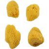 Prírodná špongia sada 4 ks (Prírodná morská špongia na povrchové úpravy )