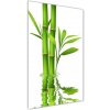 Vertikálny foto obraz akrylové sklo Bambus 50x100 cm