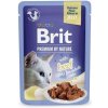 Brit Premium Cat Delicate Fillets in Jelly with Beef 3 x 85 g