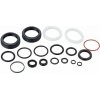 SRAM ROCK SHOX ROCKSHOX AM VIDLICA SVC KIT YARI 2P A1