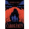 Čarokámen - Henry Neff