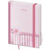 Vario B6 denný 2024 Pink