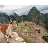 ZUTY Maľovanie podľa čísel LAMA A MACHU PICCHU Rámovanie bez rámu a bez vypnutia plátna Rozmer 80 x 100 cm