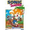 Sonic the Hedgehog (Ian Flynn)(Pevná)