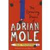 Growing Pains of Adrian Mole
