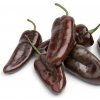 Paprika Sweet Chocolate - Capsicum annuum - semená - 7 ks