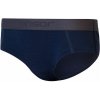 Dámske nohavičky Sensor Merino Active Deep Blue Veľkosť: L / Farba: modrá