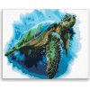Maľovanie podľa čísel Morská korytnačka 02