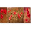 Foto obraz sklo tvrzené maky triptych 100x50 cm