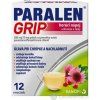 PARALEN GRIP horúci nápoj echinacea a šípky plo por 500 mg/10 mg (vre.PAP/Al/LDPE) 1x12 vrecúšok