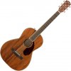 Fender PM-2