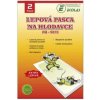 Pasca lepová papierová na hlodavce a hmyz 20x13,5 cm