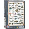 Puzzle 1000 Sea Fish 6000-0313 ()