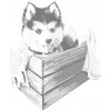 ZUTY Bodkovanie - HUSKY V KRABICI Rámovanie: vypnuté plátno na rám, Rozmer: 80x100 cm