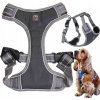 Postroj pre psa Lalazoo nastaviteľný, netlačí, vodeodolný, sivý, veľkosť M