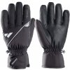 rukavice ZANIER Budor GTX black XS