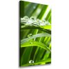 Vertikálny foto obraz canvas Steblo trávy 50x100 cm