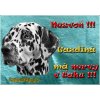 Pozorpes.sk, výstražná tabuľka (Dalmatinec, pozor zlý pes)
