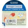 Yankee Candle Iced Berry Lemonade vosk do aromalampy 22 g