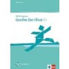 Mit Erfolg zum Goethe-Zert. C1 ÜB - H. J. Hantschel, V. Klotz, P. Krieger