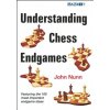 Understanding Chess Endgames