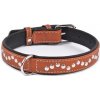 Kožený obojok pre psa klasický Waudog r. dĺžka: 38 - 49 cm, šírka: 25 mm