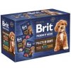 Brit Premium Adult Dog Fillets Gravy Multipack 1020 g