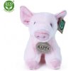 Eco-Friendly prasa 18 cm