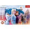 Trefl Puzzle Frozen 2 - Magická cesta / 24 dielikov MAXI