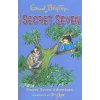 Secret Seven: Secret Seven Adventure (Blyton Enid)