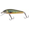 Salmo Minnow Floating M5F 5cm 3g Lake Charr Salmo