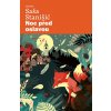 Noc před oslavou - Saša Stanišić