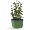 Gusta Garden GG-122F10