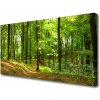 Obraz na plátne Les príroda 100x50 cm
