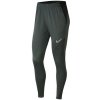 Kalhoty Nike Academy Pro - FOOTBALL_SOCCER | BV6934-010 | L