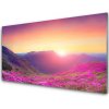 Obraz plexi Slnko hory lúka príroda 100x50 cm