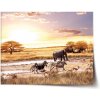 Sablio Plagát Safari - 90x60 cm