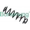 BORSEHUNG Pružina podvozku B12566