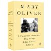 A Mary Oliver Collection: A Thousand Mornings, Dog Songs, Blue Horses, and Felicity (Oliver Mary)