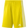 Adidas Squadra 21 M