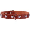 Kožený obojok pre psa klasický Waudog, dĺžka: 27-35 cm, šírka: 14 mm