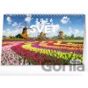 NOTIQUE Stolový Svet 23,1 x 14,5 cm 2026