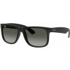 Ray-Ban RB4165 601 8G