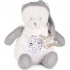 Plyšový medvedík Doudou 25 Years Musical Night Light Star Projector Grey Doudou et Compagnie so svetlom hudbou a bielym šumom sivý 19 cm od 0 mes