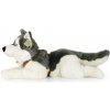 Rappa Plyšový pes husky s obojkom ležiaci 60 cm ECO-FRIENDLY
