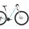 Kellys Vanity 30 2024
