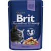 BRIT Premium cat Kapsička Adult Cod Fish 100 g