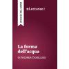 La forma dell'acqua - Andrea Camilleri (analisi del libro)